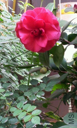 IMG20121105233554.jpg
