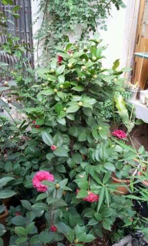 IMG20121105233646.jpg