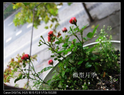 nEO_IMG_IMG_0992_����.jpg