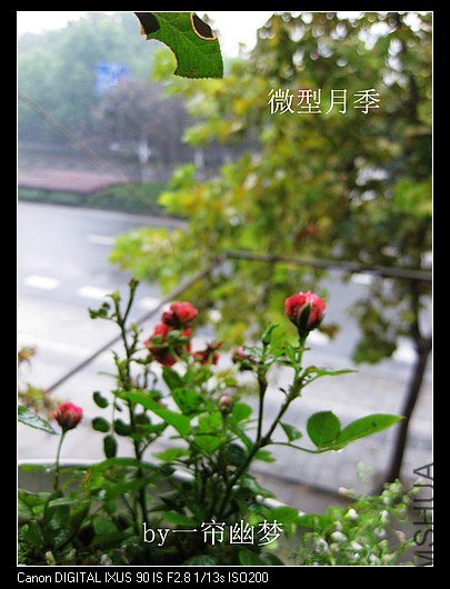 nEO_IMG_IMG_0994_����.jpg