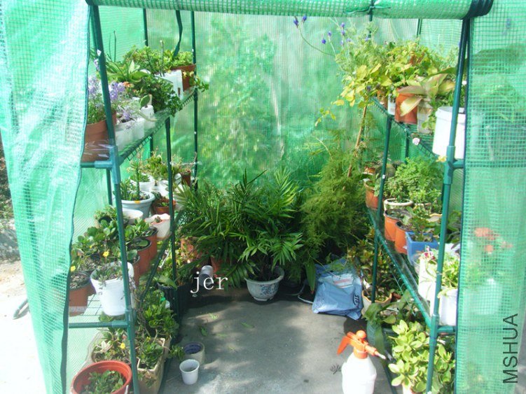 DSCF2191_����.jpg