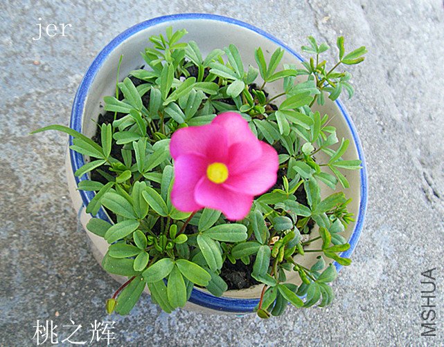 DSCF2215_����.jpg