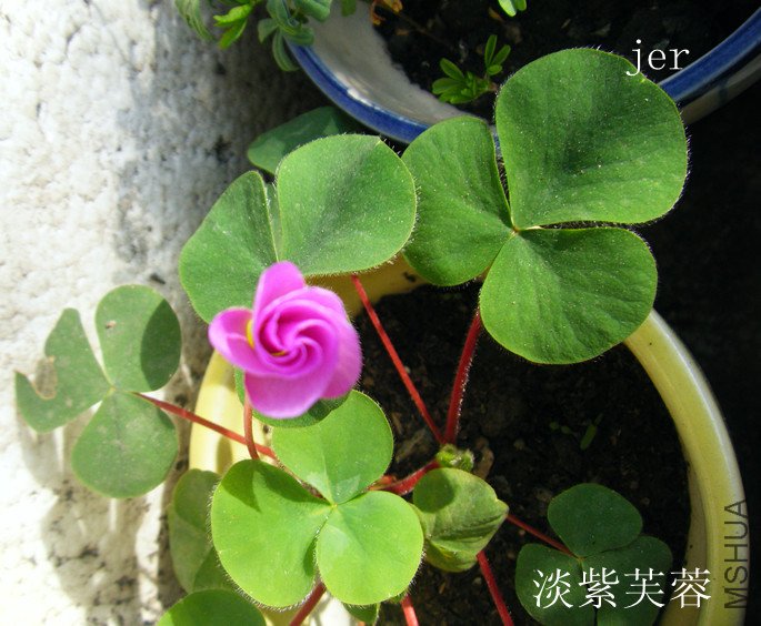 DSCF2216_����.jpg