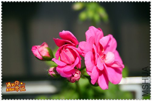 ��Ƭ 030_����.jpg