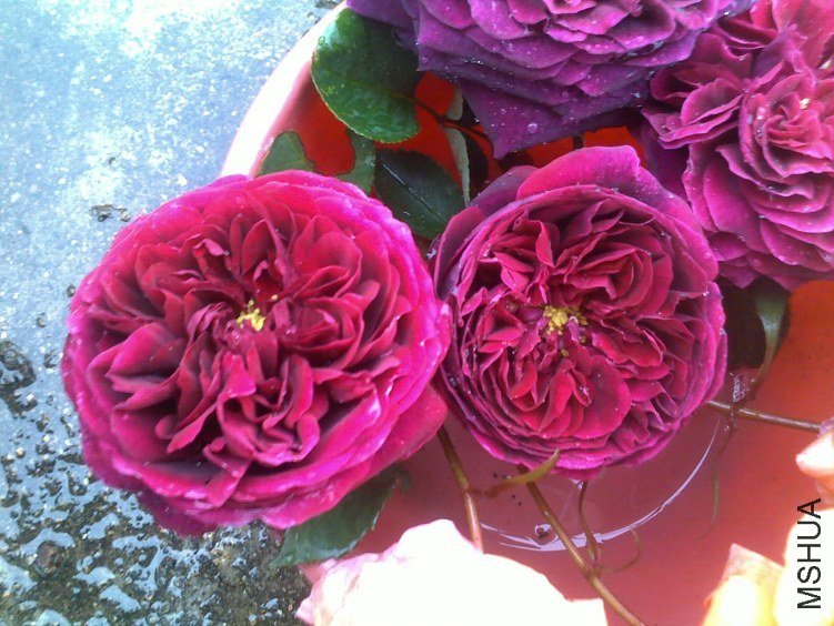 ����������