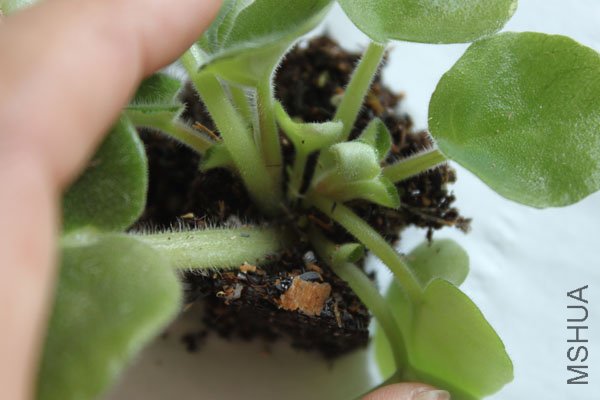 ���Կ���ѿ�㣬3��