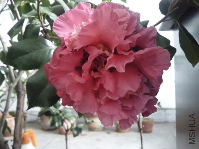 ��Ƭ086.jpg