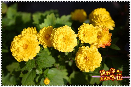 ��Ƭ 026_��ת_����.jpg