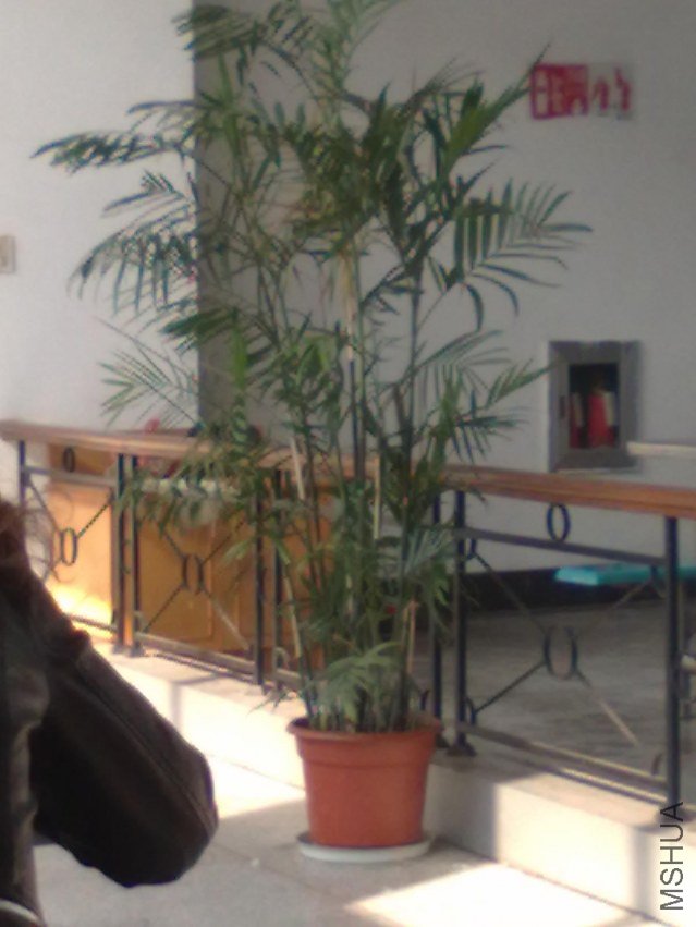 20121107692.jpg