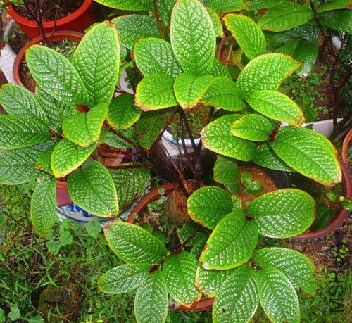 P1170317_����_����_����.jpg