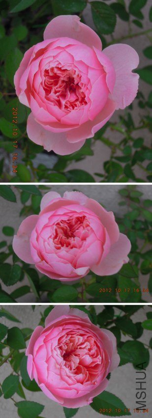 FSCN4472_1.jpg