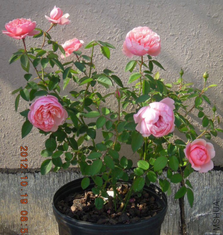FSCN4472_2.jpg