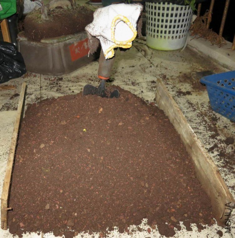 77.jpg