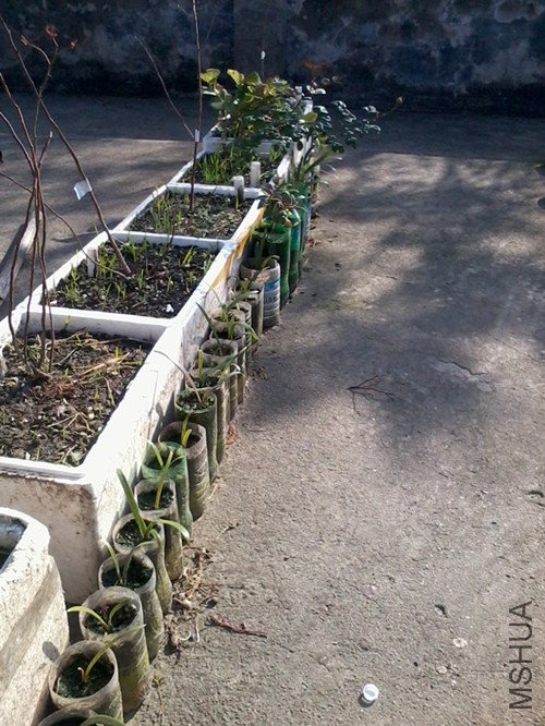 �ɹ�ͼ���ֵ���ݮ����Ů����Сƿ�ֵ�����