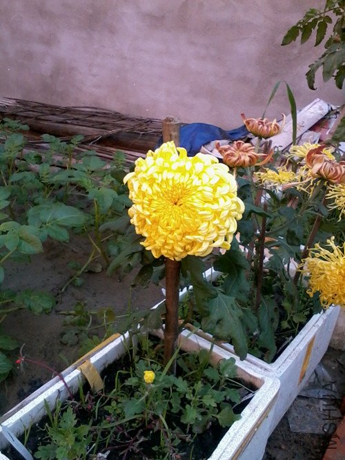 �ҵľջ�������Ǵ�ˮ�䣬�����߿ã����˲壬�����������ҵ������������ˣ�Ҫ���ô�ˮ��Ӧ�þͲ��������� ...