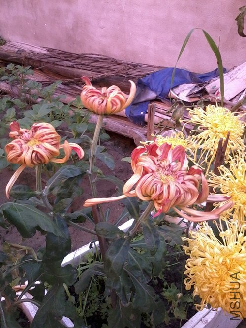 ������Ϊ�˿��˻������������