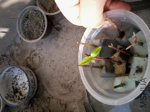 2012-11-06 09.46.05_����.jpg