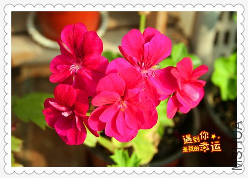 ��Ƭ 016_����.jpg