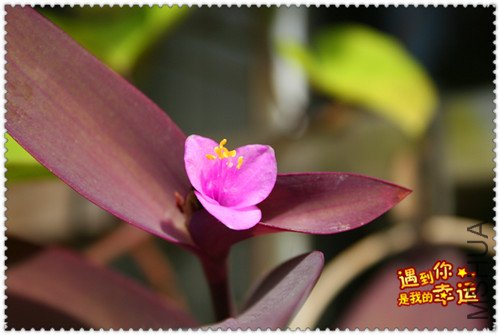 ��Ƭ 029_����.jpg