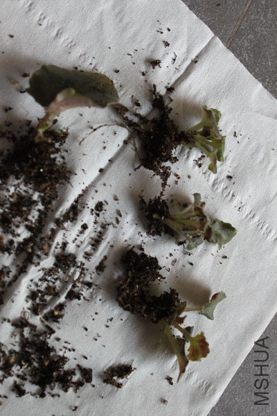 Ҳ�Ƿ���3��