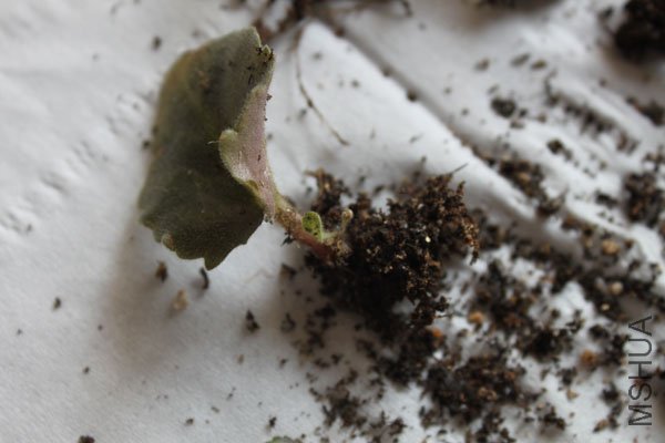 ���費���˷ѣ��Ȼ�Ҫ����ȥ����