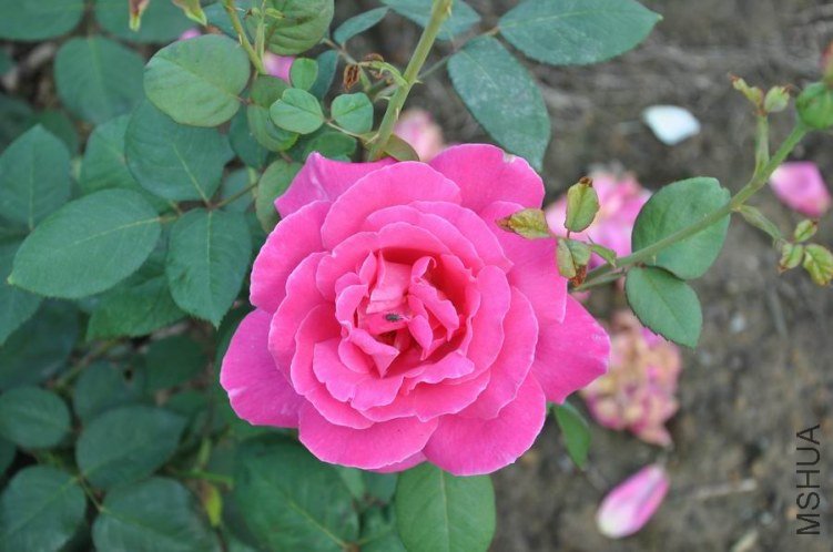 DSC_0362.jpg