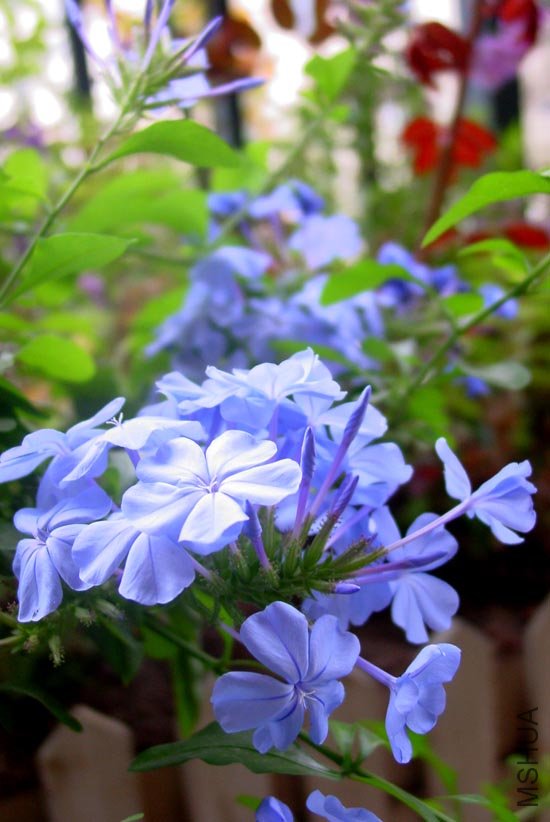 DSC00056.JPG