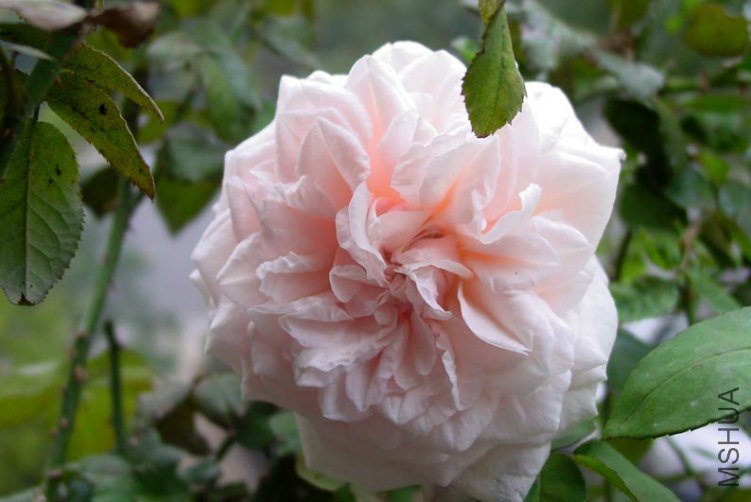 DSC00041.JPG