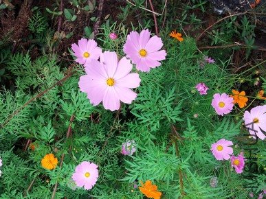 20121007_094421.jpg