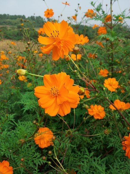20121007_094616.jpg