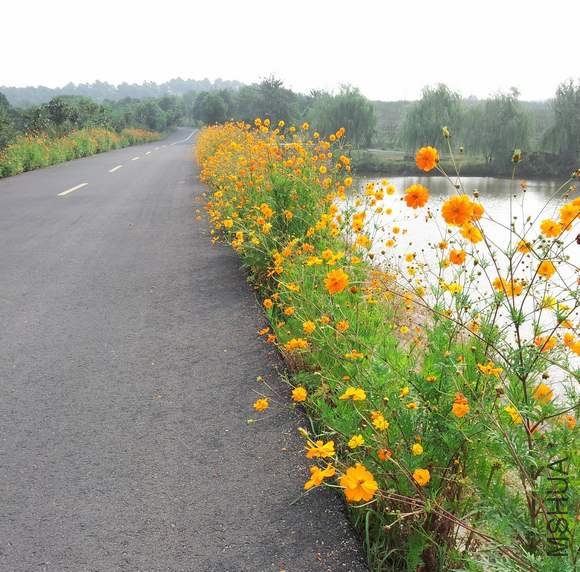 20121007_095146.jpg