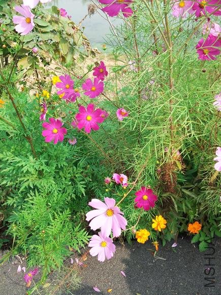 20121007_095039.jpg