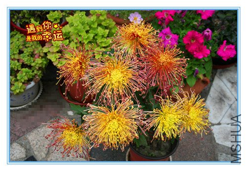 ��Ƭ 041_����.jpg