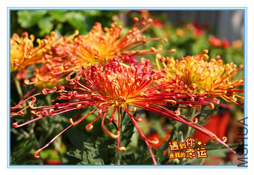 ��Ƭ 042_����.jpg