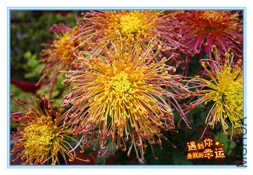 ��Ƭ 044_����.jpg