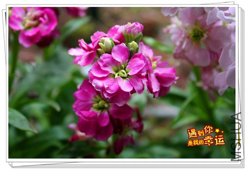 ��Ƭ 111_����.jpg