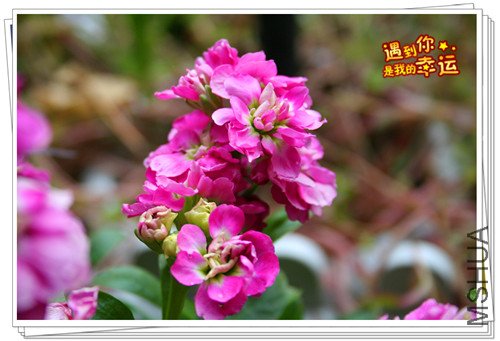 ��Ƭ 113_����.jpg