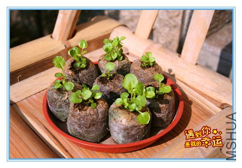 ��Ƭ 011_����.jpg