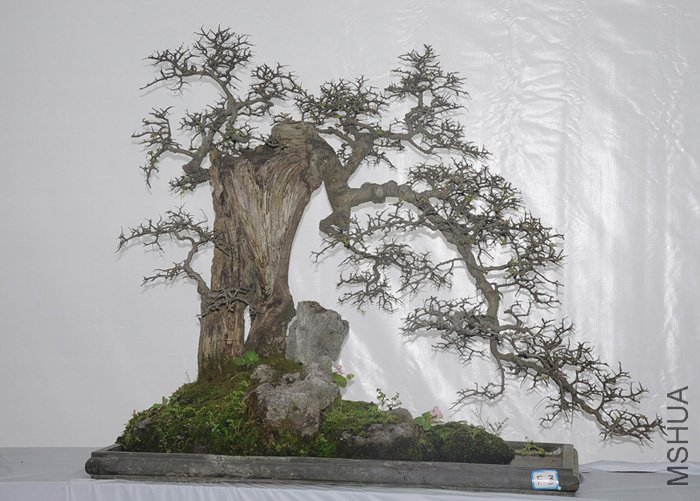 ���� DSC_0323.JPG