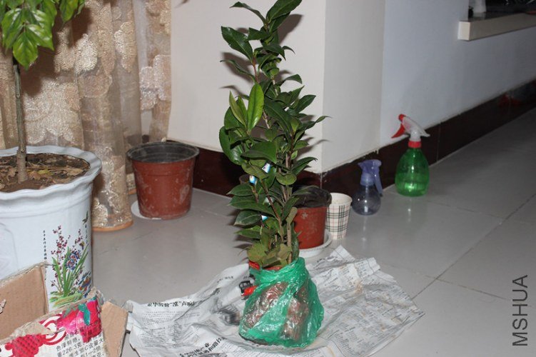 ���յ������ӡ�