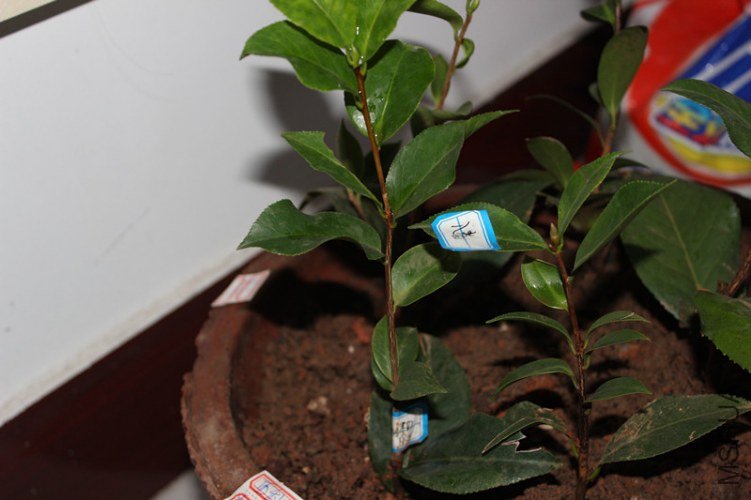 �������ж�