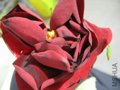 ������С ����Ƭww 033.jpg