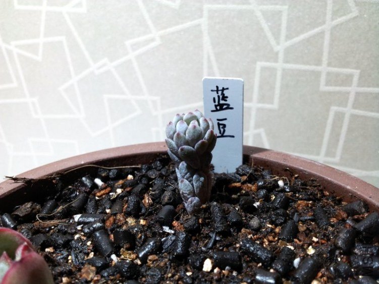 20121108_214638.jpg