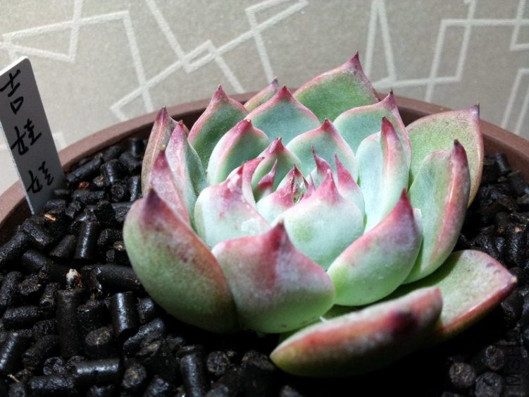20121108_214343.jpg