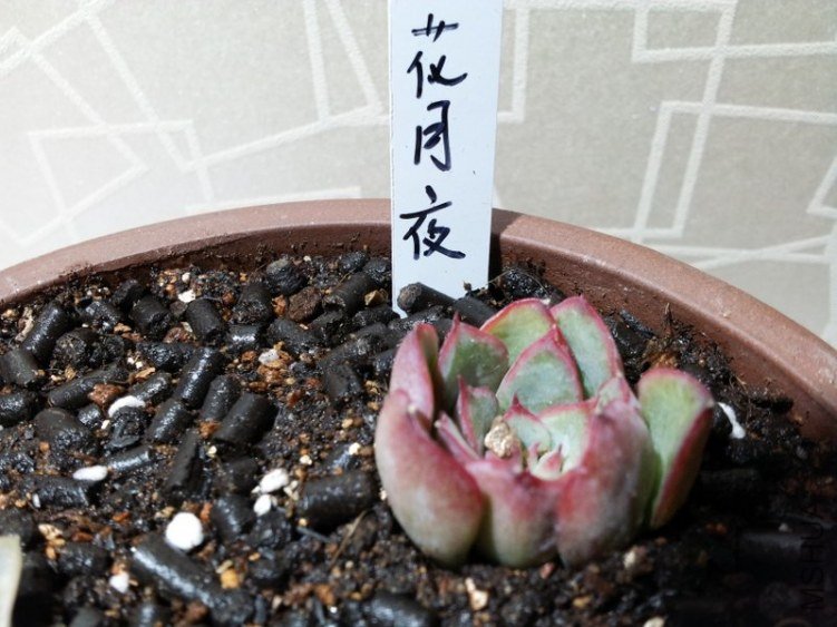 20121108_214606.jpg