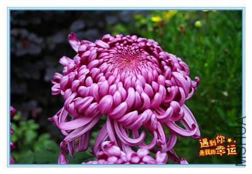 ��Ƭ 066_����.jpg