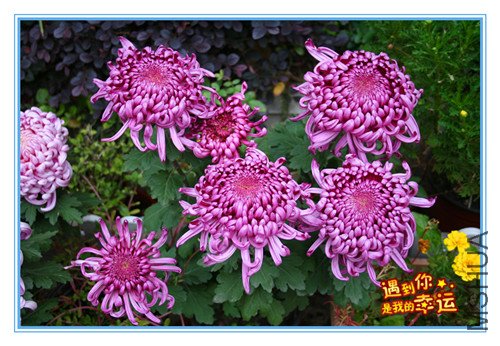 ��Ƭ 064_����.jpg