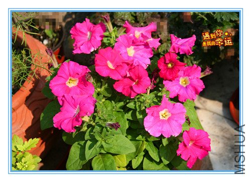 ��Ƭ 019_����.jpg