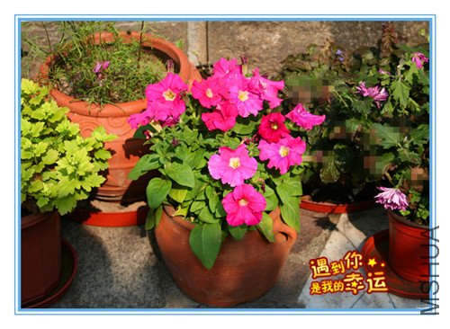 ��Ƭ 018_����.jpg