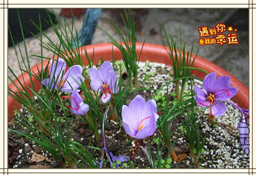 ��Ƭ 115_����.jpg